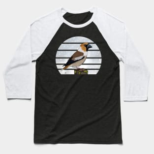 Hawfinch Winter Snow Bird Watching Birding Ornithologist Gift Baseball T-Shirt